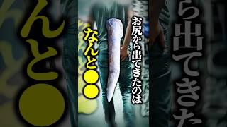 【実話】お尻の激痛を訴えた男性→『本物の砲弾』が出てきた！？爆発物処理班まで出動した異例の騒動とは！ #shorts