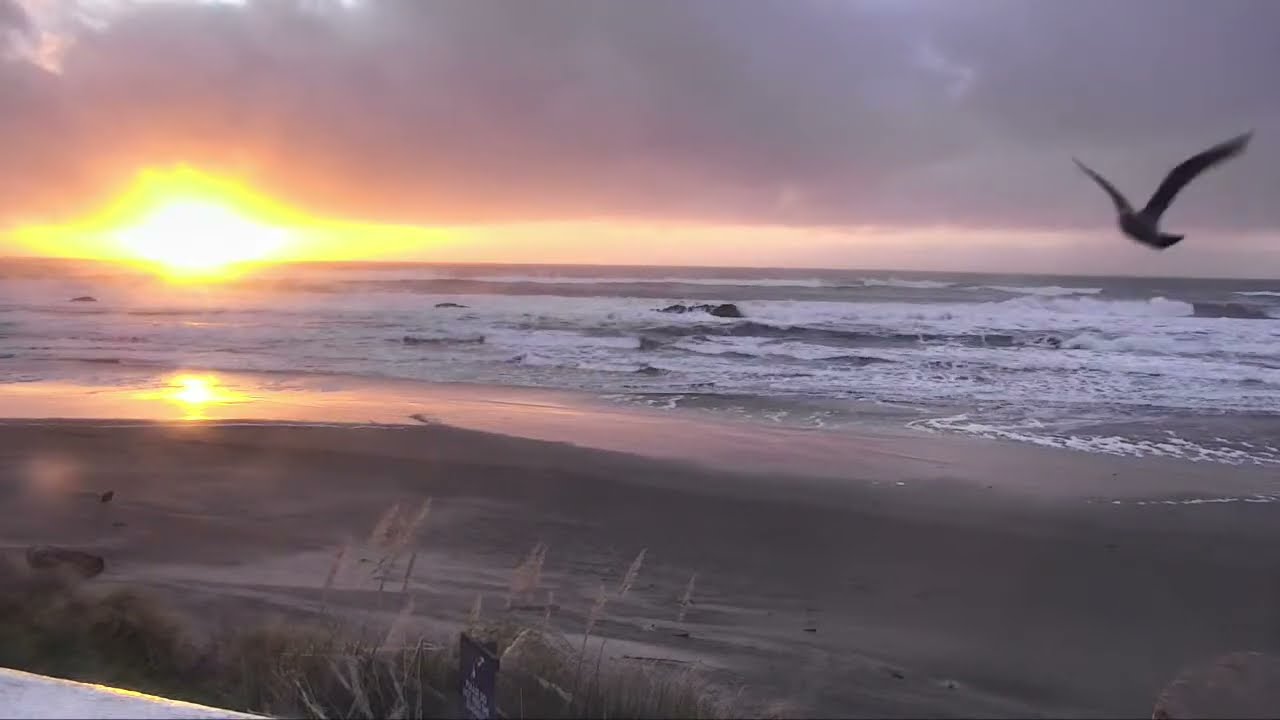 LIVE: Oregon Coast 55mph winds