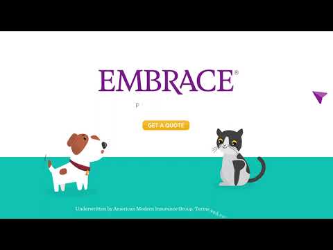 Embrace pet insurance video/presentation/materials