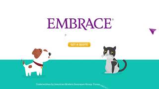 Embrace Pet Insurance Explained