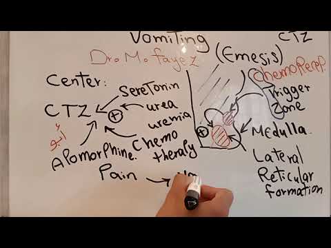 Vomiting Dr Mohamed Fayez