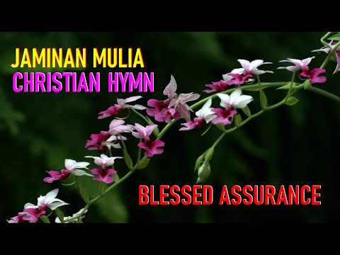 Blessed Assurance Lyrics | Jaminan Mulia