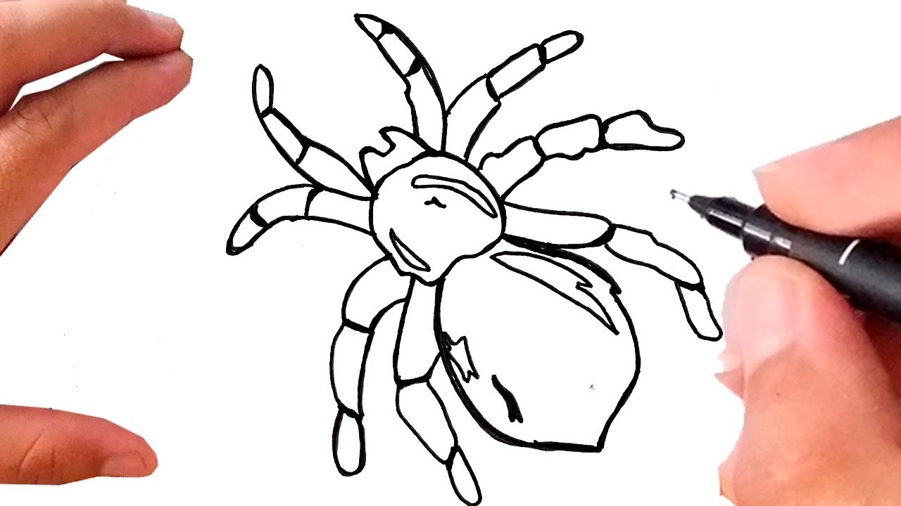COMO DESENHAR ARANHA