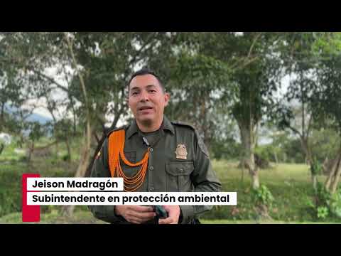 California Santander: tierra de oro, tradición y resistencia.