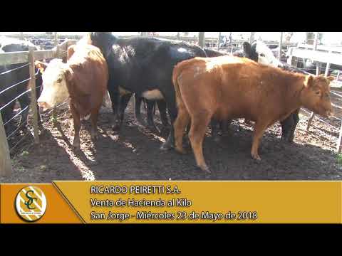 23-05-18 Venta de Gordo - Ricardo Peiretti S.A. - San Jorge