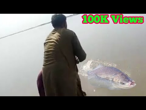Big Katla Fish Catch || Big Thail Fish 2021 || Fishing 2021