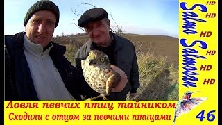 Где лучше ловить щегла на поле или в посадках