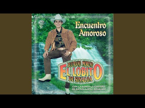 Que Me Lleven a la Cárcel