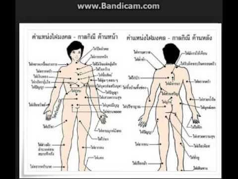 ที่เพิ่มขึ้นหน้าอกออกกำลังกาย ชุดสั้นสำหรับหน้าอกเล็ก