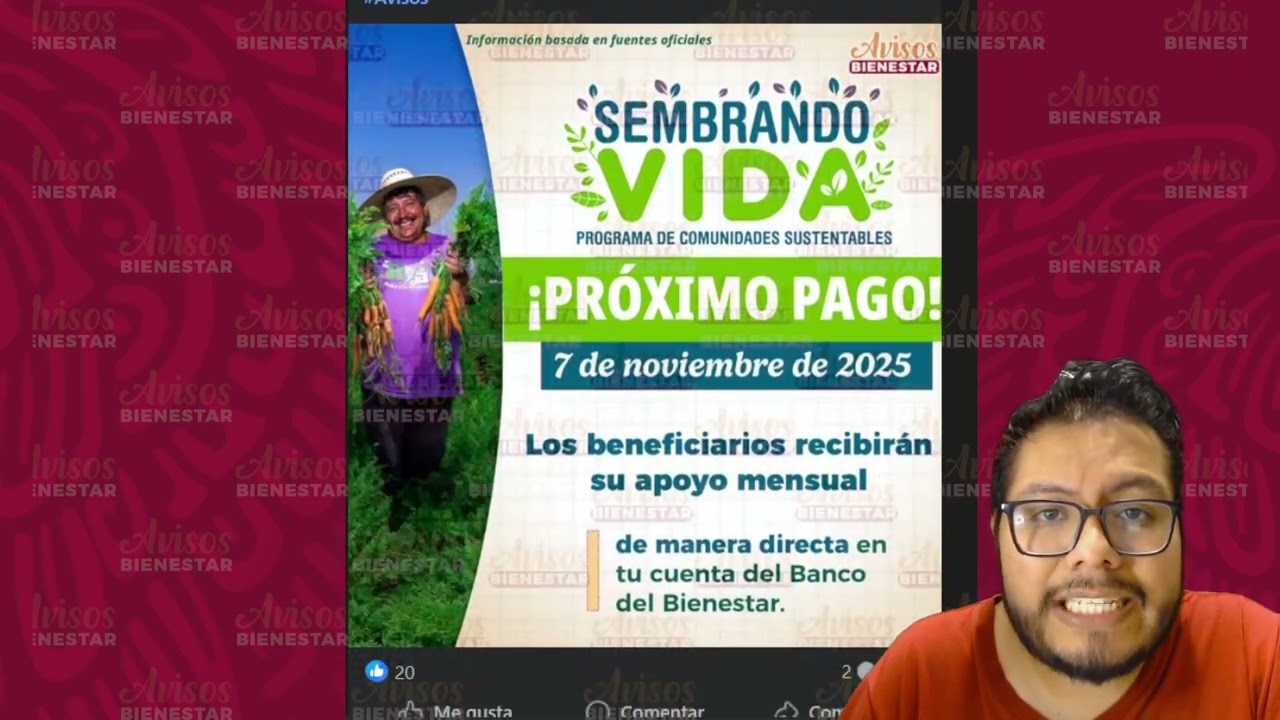 ¡SEMBRANDO VIDA! próximo pago en noviembre 2025 a sembradoras y sembradores