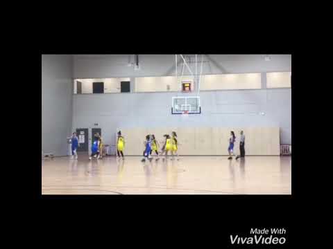 Zoja Vuletic # 4, ZKK ART BASKET  vs  ZKK CELAREVO