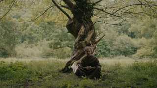 Finding Saint Francis (official trailer)