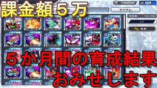【スパロボＤＤ】配信日から初めて約５か月！！現在の育成具合紹介いたします【Super Robot Wars DD】