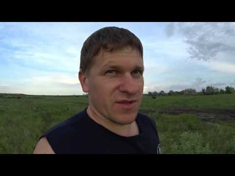 Город под водой // Купили гусят // Копчёные утки // Будни деревенщины №26