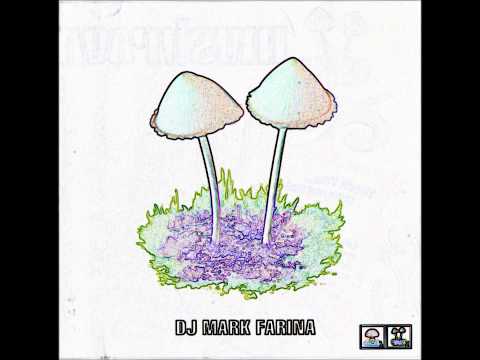 Mark Farina-Mushroom Jazz vol 2