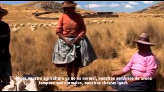 Videos Circa 1: Problema de contaminación minera en Espinar