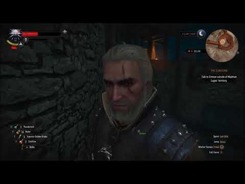 Let's Play The Witcher 3: Wild Hunt Blind Part 258