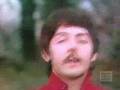 It's Real Love -- Beatles Tribute 