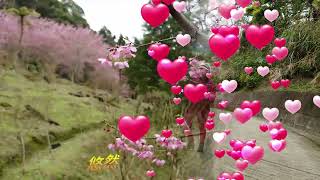 2025 2 24悠然密境小屋