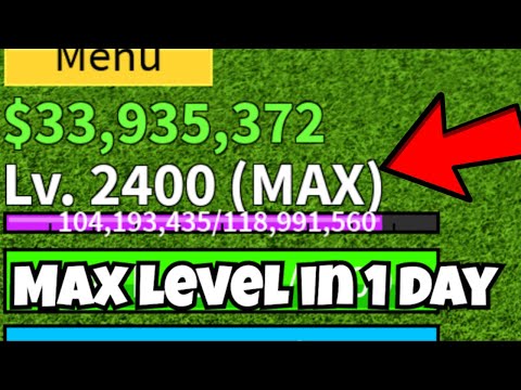 (GLITCH) How To Reach Max Level in 24 Hours In Blox Fruits