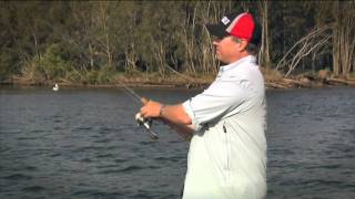 Rapala down deep husky jerk