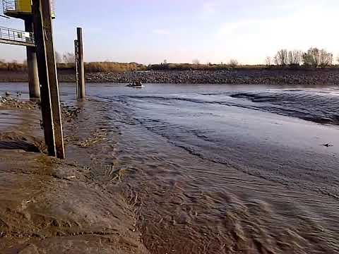Flutwelle auf der Ems bei Rhede