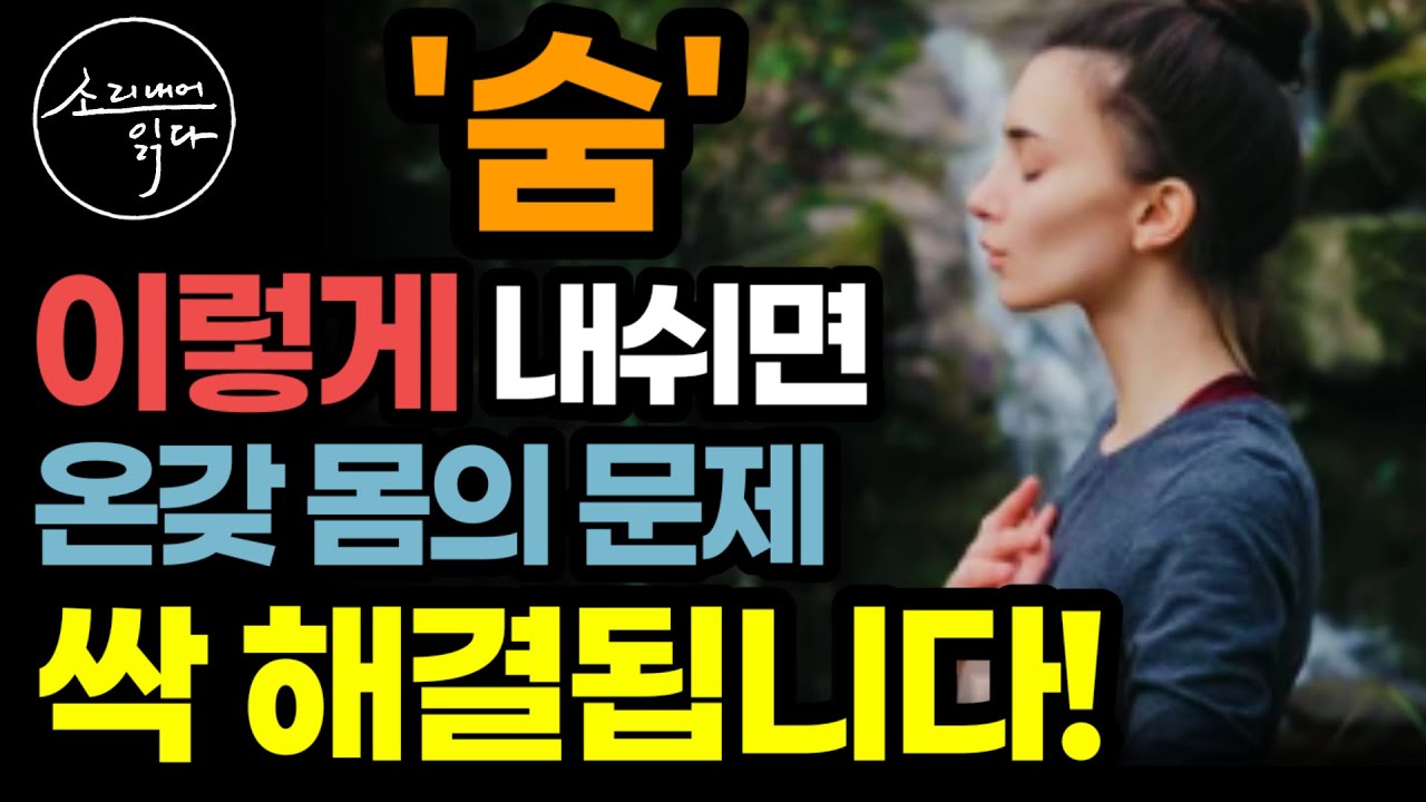인생을 바꾸는 놀라운 호흡의 힘! / 이렇게 숨 쉬세요! 온갖 몸의 문제 싹 사라집니다! / 호흡력 높이는 법 / 호흡의 힘 / 책읽어주는여자 SODA's 건강 오디오북