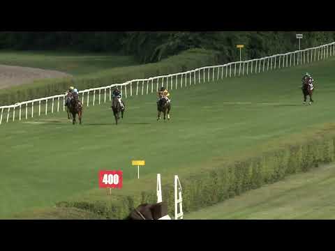 2020.09.06. 04. futam - REMÉNY DÍJ (II.kat.)