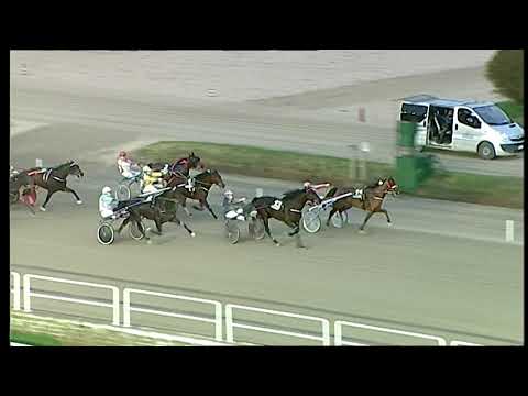 Trotto 29/01/2021 - 7ª corsa