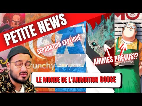 FUSION ADN CRUNCHYROLL EXPLICATION, ONE PIECE RED, SAKAMOTO DAYS, KAIJU N8 - PETITE NEWS