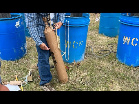 Large Maltese Cylinder Shells! (PGI 2023)