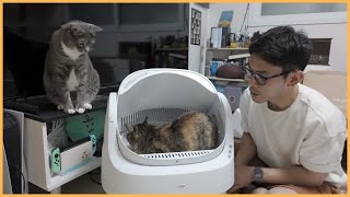 숨숨집 아니고 자동화장실이라고