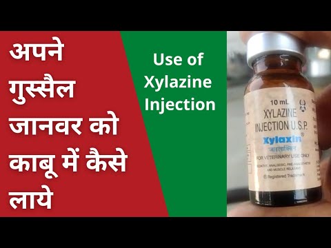 Xylazine Injection