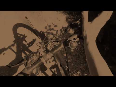 Mtb im Sebalder Reichswald Neunhof - Buchenbühl