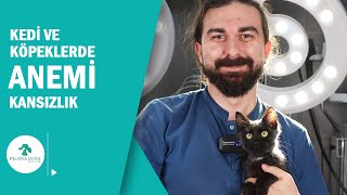 ANEMİ - Kansızlık Belirtileri Nelerdir? Nasıl Anlarız?