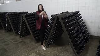 Cramele Cricova, orasul subteran al vinului cu peste 100 de km de tuneluri #moldova #travel #winery