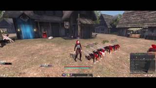 석상에서 진화된 케아라