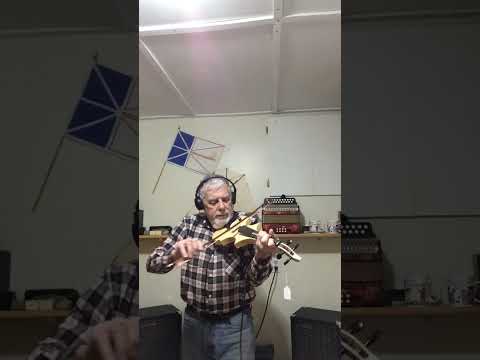Violin. Solid body electric with frets Bild 6