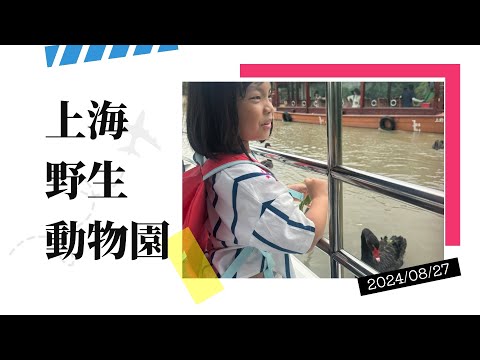 2024/8/27 上海自由行day3 上海野生動物園 vip投餵車套票