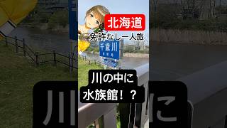 🐟北海道を女一人旅！免許なし！千歳水族館へＧＯＧＯですわ　#北海道 #新千歳 #vtuber #旅行