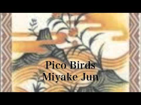 Pico Birds - 三宅　純（Miyake Jun）