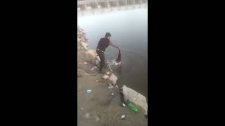 preview picture of video 'Fishing In Pakistan River Ravi River Sutlej river chenab river jhelum Angling in Pakistan'