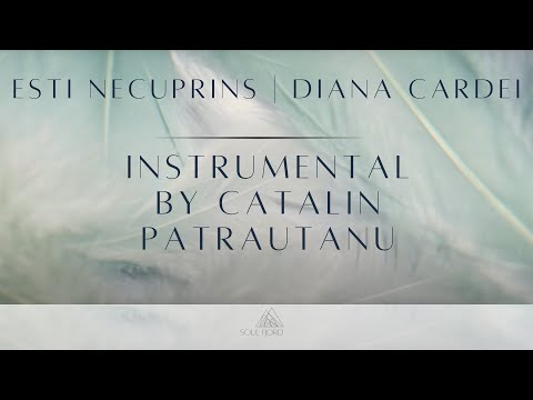 Esti necuprins - Instrumental with lyrics