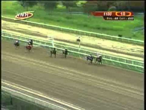 10ma Carrera Dom 24 Agosto La Rinconada