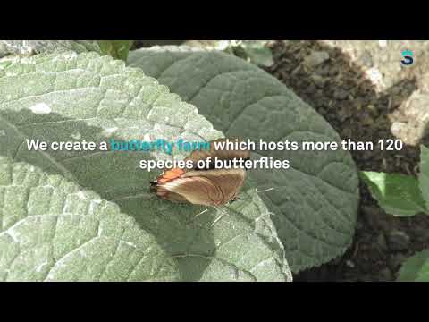 Video Sacyr. Discover how we protect biodiversity in some of our projects in Colombia