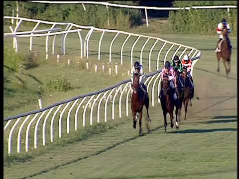 Galoppo 03/08/2019 - 2ª corsa