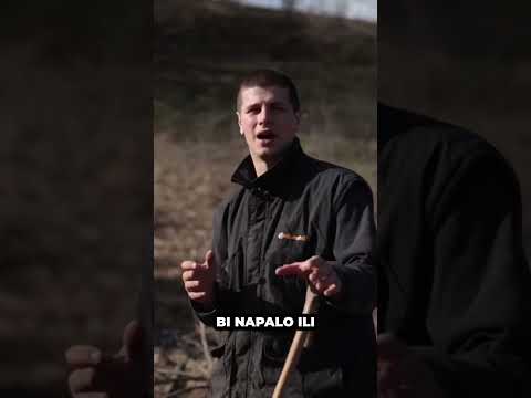 Napala nas DIVLJA KRMAČA | Izazovi Avanturu