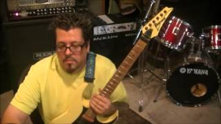 How to play Hobophobic by NOFX on guitar by Mike Gross