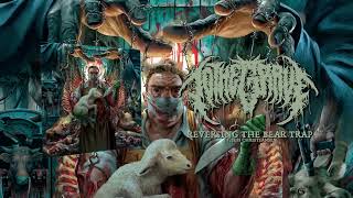 Music video thumbnail preview for TO THE GRAVE - Reversing The Bear Trap (ft. Jess Harlan) [Official Stream] by To the Grave