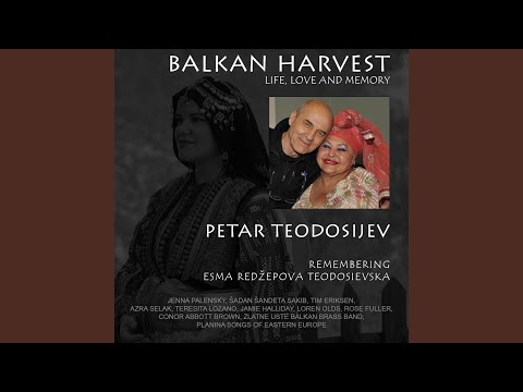 Temen Se Oblak Zadade